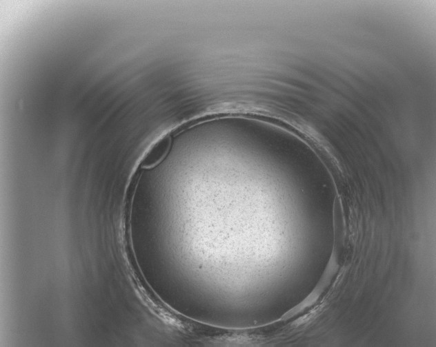 X0000054400896200508051710