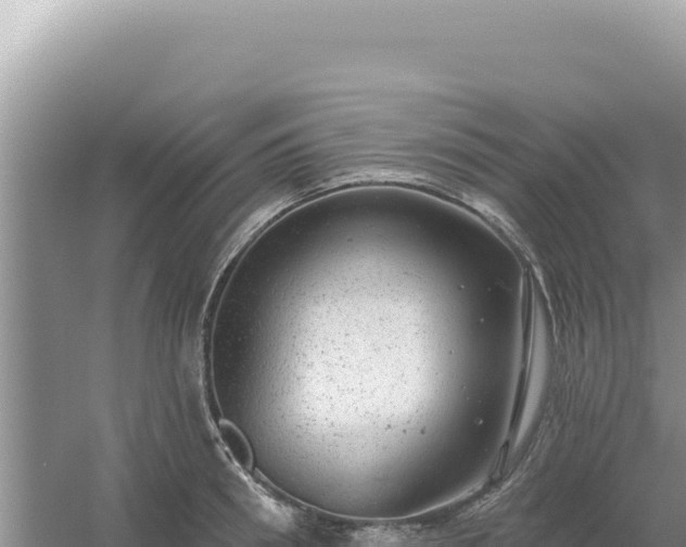 X0000054400898200508051710