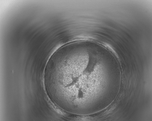 X0000054400899200508051710