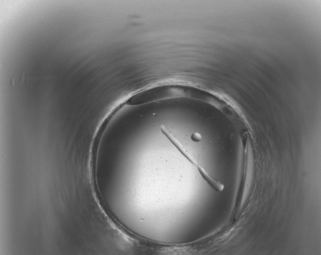 X0000054400902200508051710