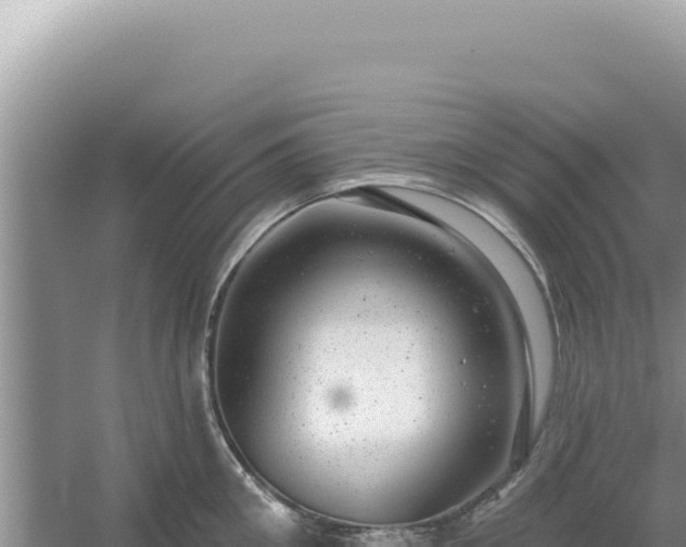 X0000054400906200508051710