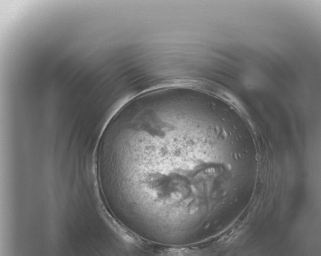 X0000054400907200508051710