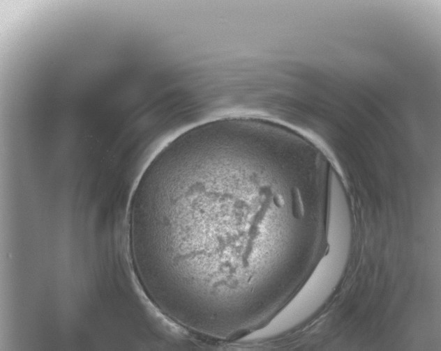 X0000054400911200508051710