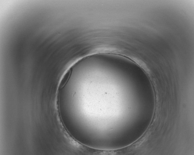 X0000054400912200508051710