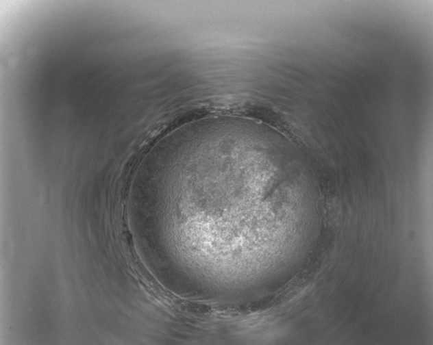 X0000054400913200508051709