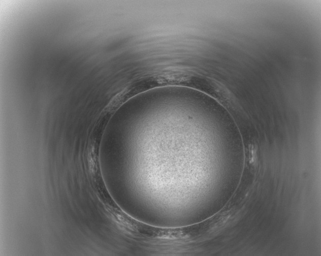 X0000054400915200508051709