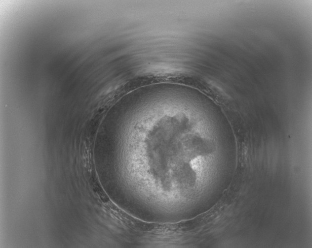 X0000054400917200508051709