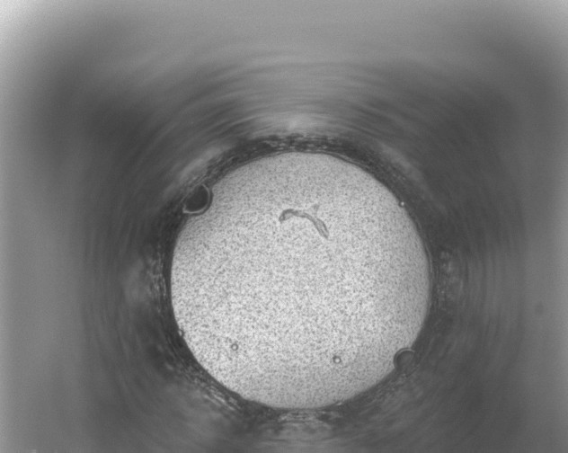 X0000054400918200508051709