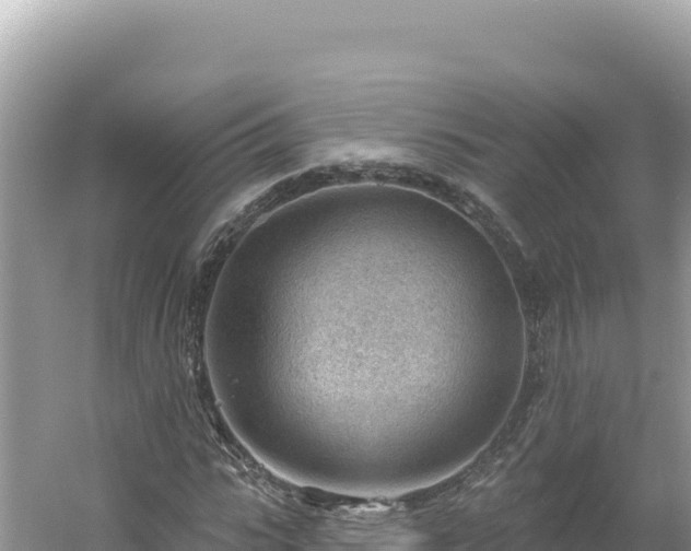 X0000054400919200508051709