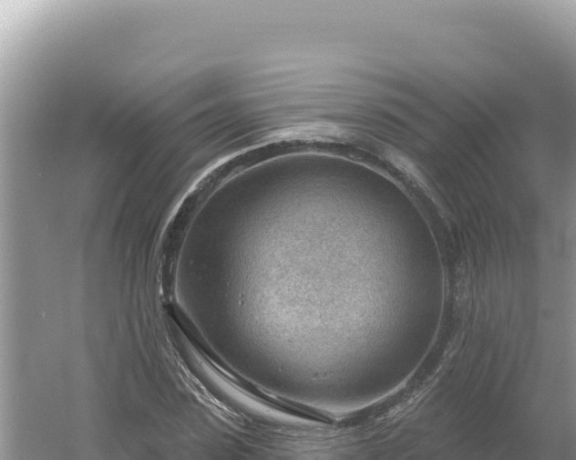 X0000054400923200508051709