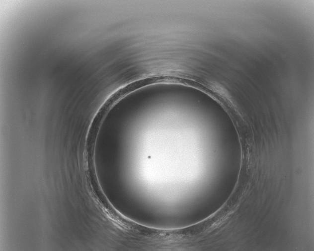 X0000054400924200508051709