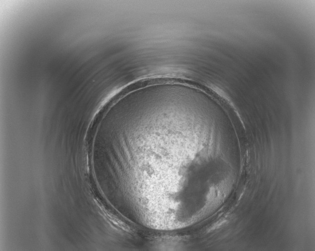 X0000054400925200508051709