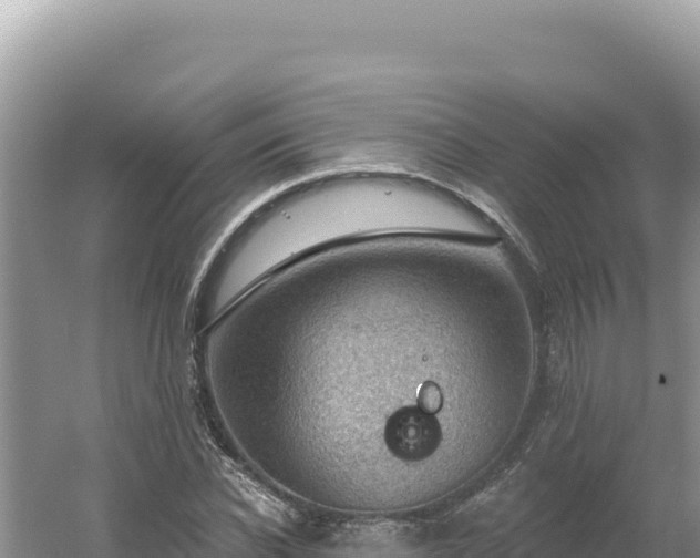 X0000054400926200508051709