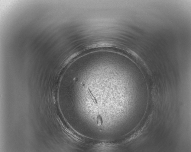 X0000054400929200508051710