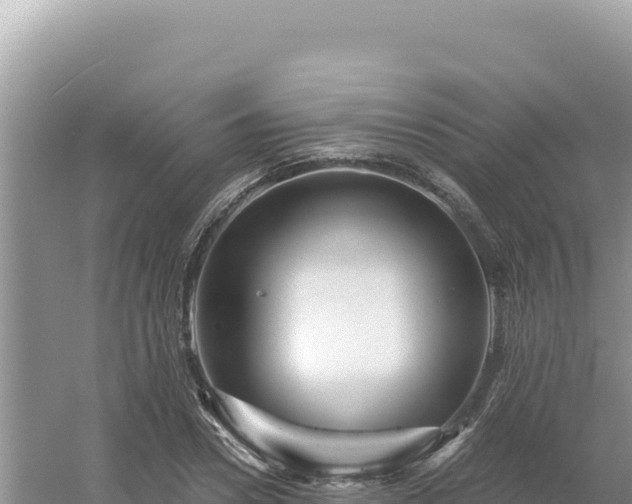 X0000054400930200508051710