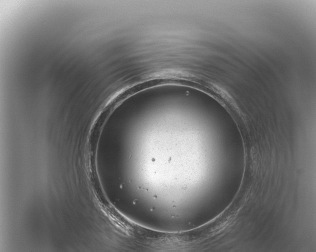 X0000054400931200508051710