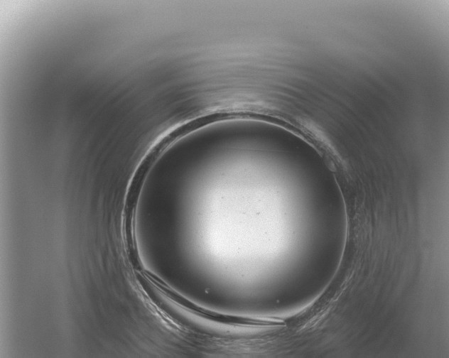 X0000054400932200508051710