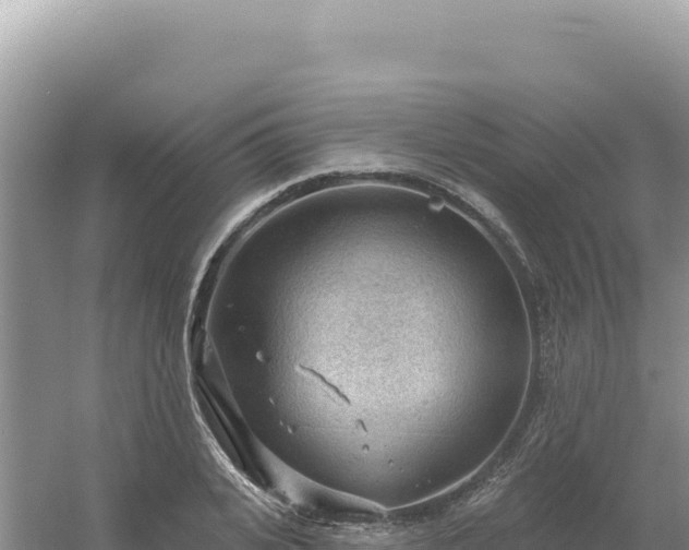 X0000054400935200508051710