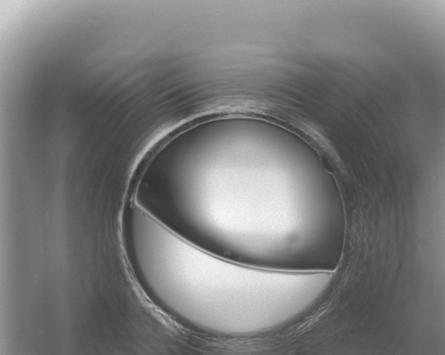 X0000054400936200508051710