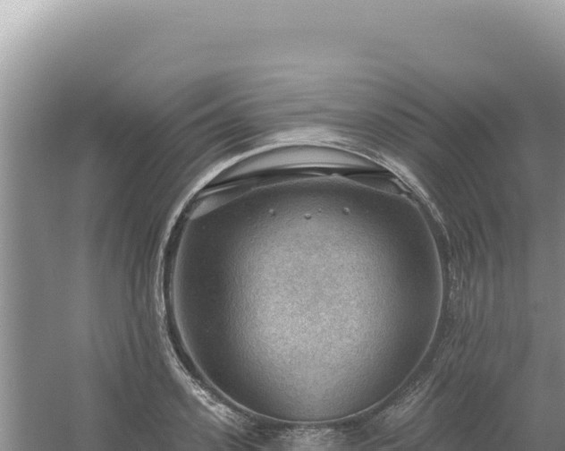 X0000054400939200508051710