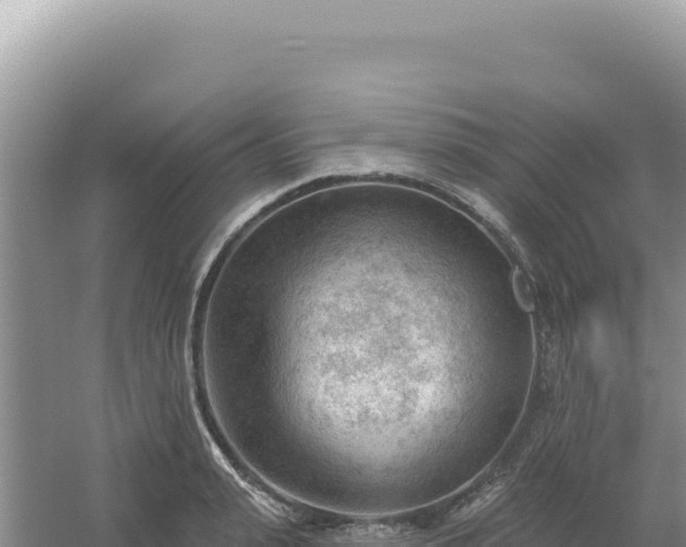 X0000054400943200508051710