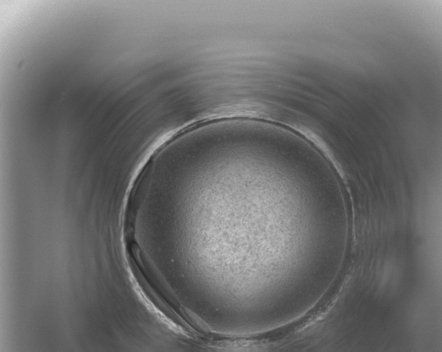 X0000054400949200508051710