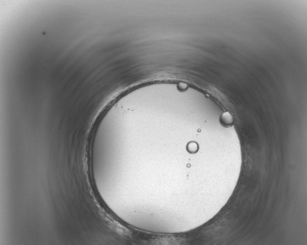 X0000054400950200508051710