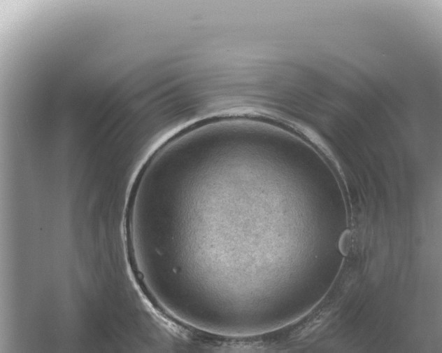 X0000054400951200508051710