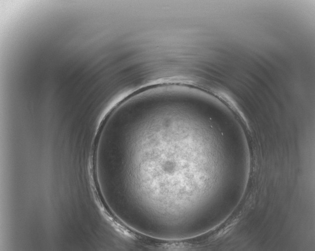 X0000054400952200508051710