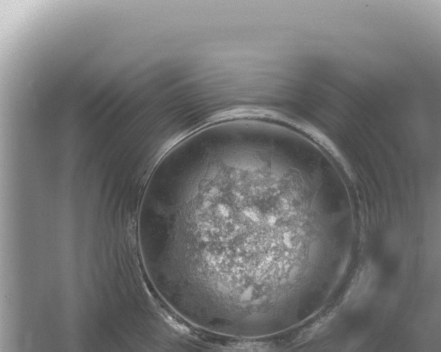 X0000054400953200508051710