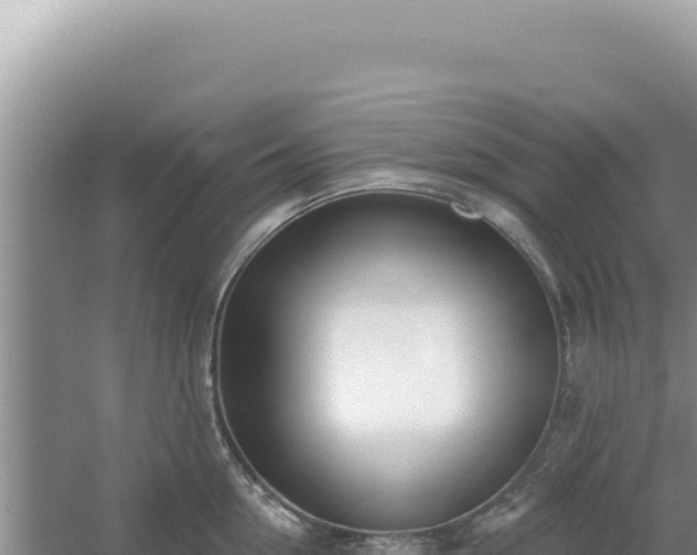 X0000054400954200508051710