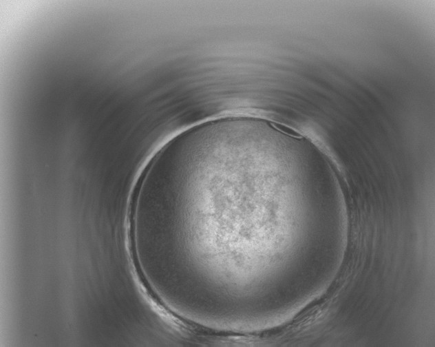 X0000054400955200508051710