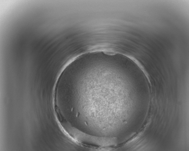 X0000054400957200508051710