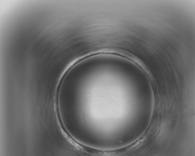 X0000054400958200508051710