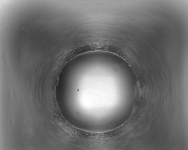 X0000054400961200508051709