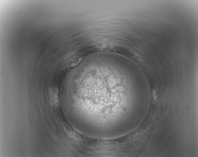 X0000054400963200508051709