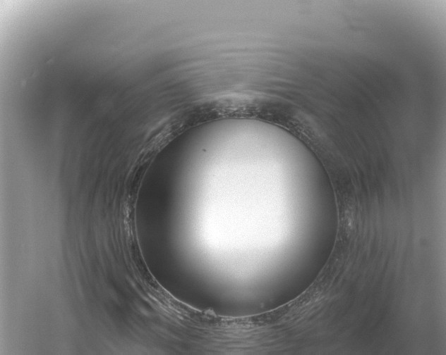 X0000054400964200508051709