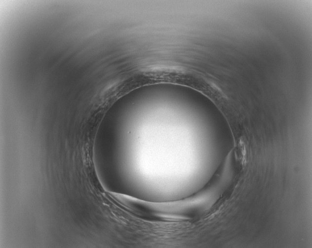 X0000054400965200508051709