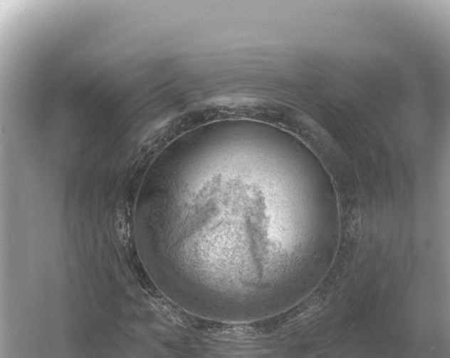 X0000054400966200508051709