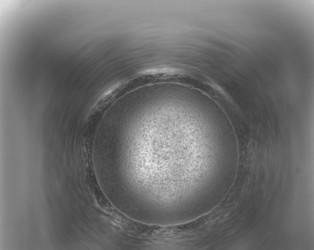 X0000054400967200508051709