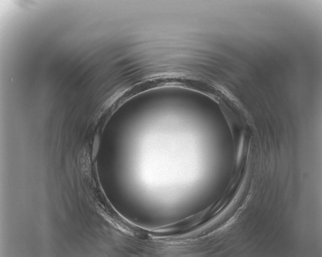 X0000054400969200508051709