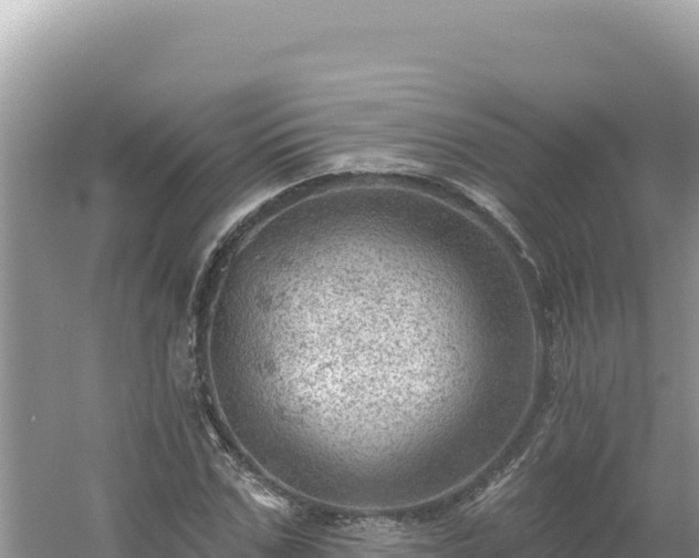 X0000054400971200508051709