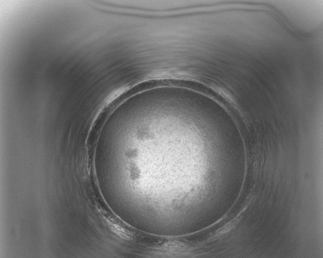 X0000054400974200508051709