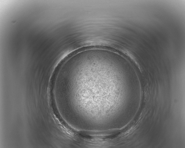 X0000054400975200508051709