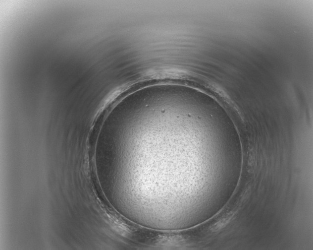 X0000054400978200508051709