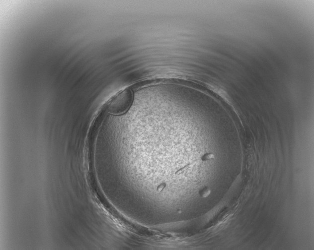 X0000054400979200508051709