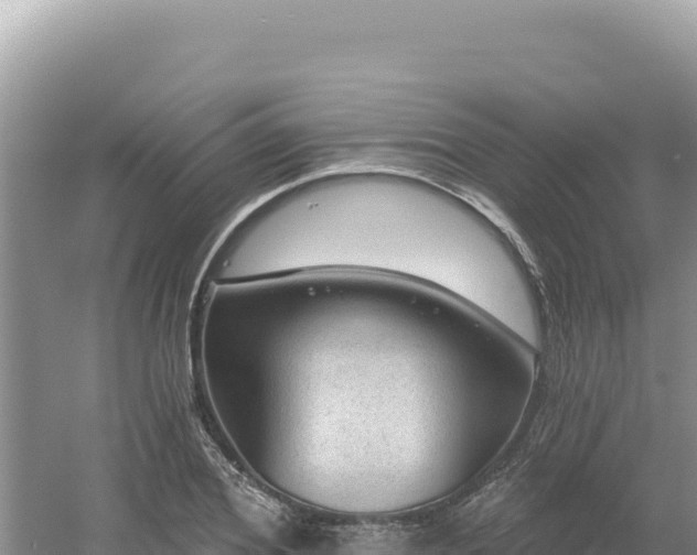 X0000054400980200508051709