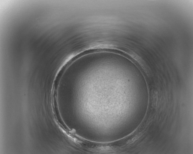 X0000054400982200508051709