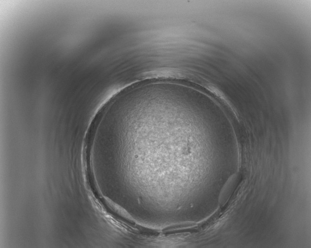 X0000054400983200508051709