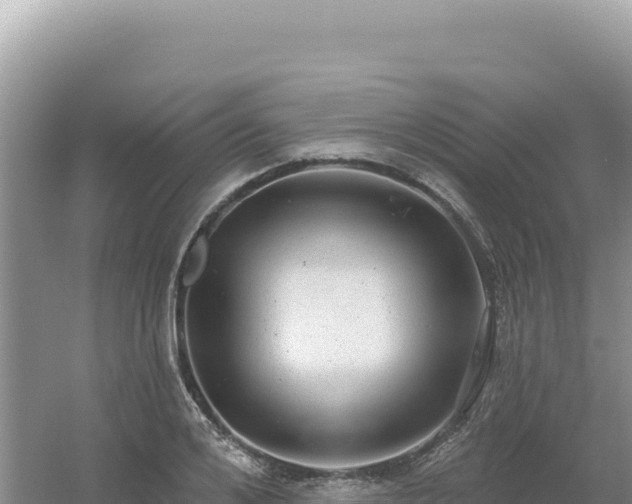 X0000054400984200508051709